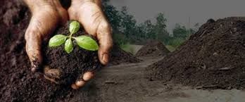 Getecma Gesto e Tecnologia em Meio Ambiente -