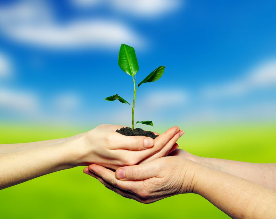 Getecma Gesto e Tecnologia em Meio Ambiente -
